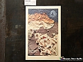 VBS_8122 - Mostra Carlo Carosso. Dioniso e Orfeo Poesia e colori del mito_1